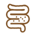 flora intestinal